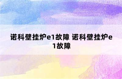 诺科壁挂炉e1故障 诺科壁挂炉e1故障